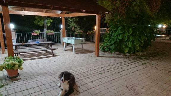 La Quiete Villa Montenero di Bisaccia Buitenkant foto